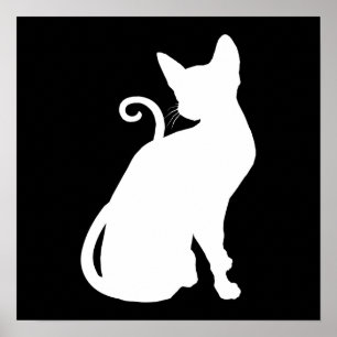 Poster White House Cat