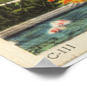 Poster White House Vintage Postcard (Coin)