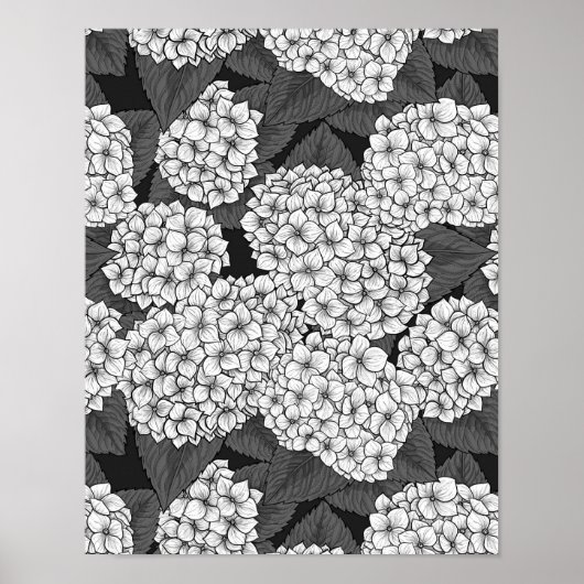 Poster White hydrangea (Devant)