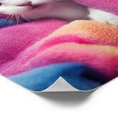 Poster White Kitten - Collection Rainbow Criters (Coin)