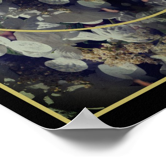 Poster White Lacecap Hydrangea Frame Ajouter Votre Photo (Coin)