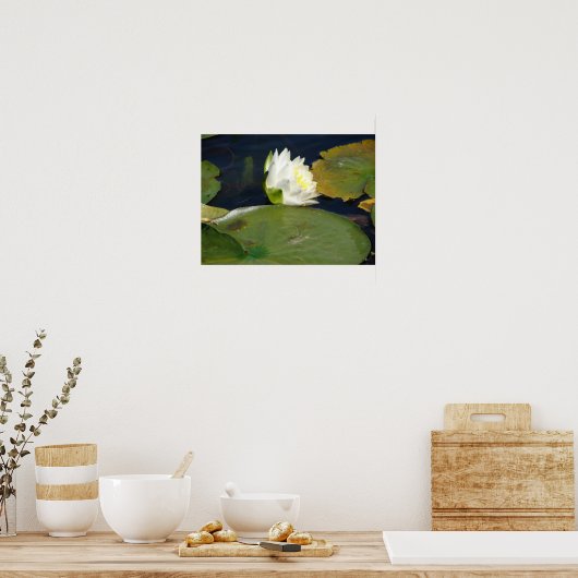 Poster White Lily (Cuisine)