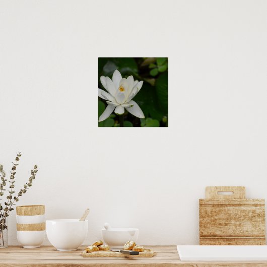 Poster White lotus (Cuisine)