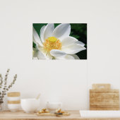 Poster White lotus (Cuisine)