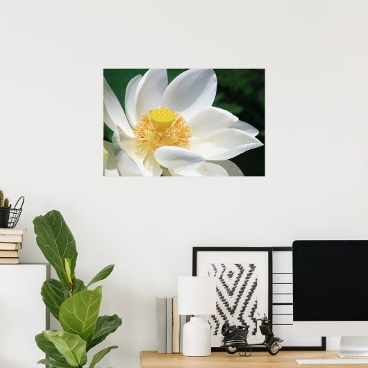 Poster White lotus (Bureau à domicile)