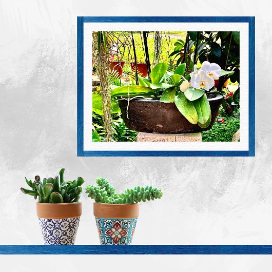 Poster White Moon Orchid 