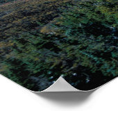 Poster White Mountain N.F., NH. La vue de proximité (Coin)