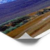 Poster White Mountains, Californie, États-Unis (Coin)