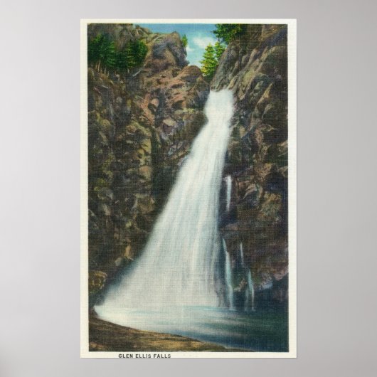 Poster White Mountains Nat'l Forest (Devant)