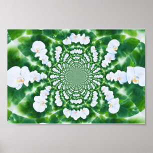 Poster White Orchid Mandala