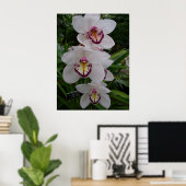 Poster White Orchids Beautiful Tropical Flowers (Bureau à domicile)