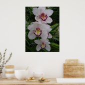 Poster White Orchids Beautiful Tropical Flowers (Cuisine)