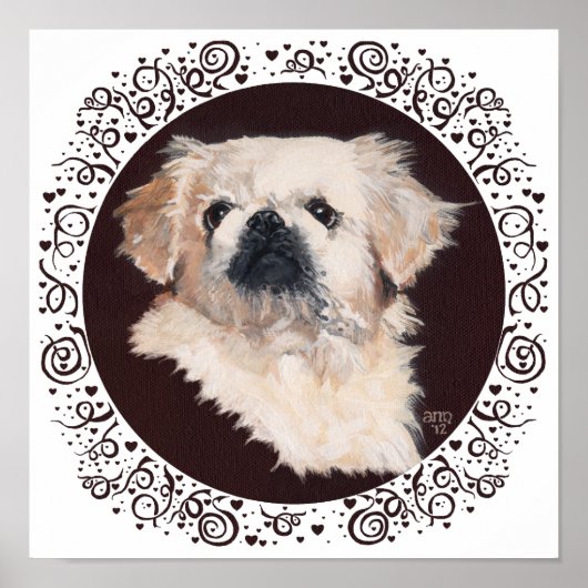 Poster White Pekingese Head Study (Devant)
