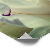 Poster White Peony Inner Peace Inspiration (Coin)