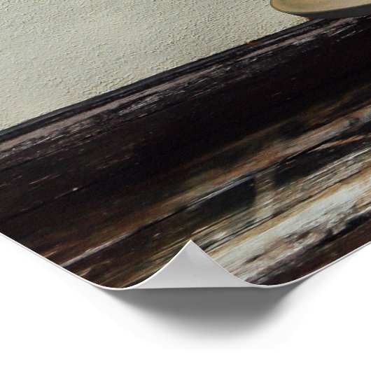 Poster White Pine Bonsai Tree (Coin)