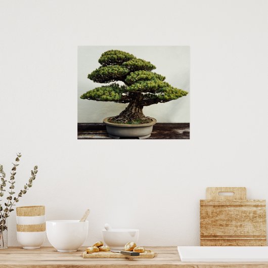 Poster White Pine Bonsai Tree (Cuisine)