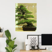 Poster White Pine Bonsai Tree (Bureau à domicile)