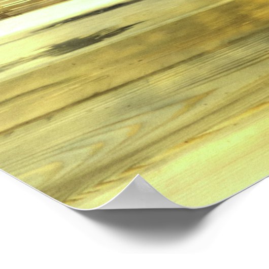 Poster White Pine Bonsai Tree (Coin)