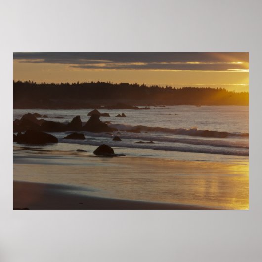 Poster White Point Summer Sunrise (Devant)