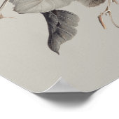 Poster White Rose Elegant Floral Bouquet (Coin)