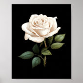 Poster White Rose Graphic  (Devant)