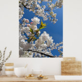 Poster White Sakura H.G. (Cuisine)