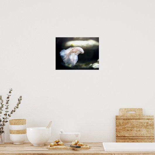 Poster White siamese Fighting Fish (Cuisine)