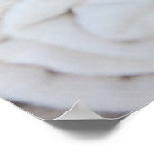 Poster White Spa (Coin)