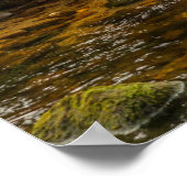 Poster White Spirit Bear Chasse pour poisson sur Riordan (Coin)