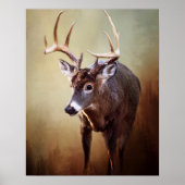 Poster White Tail Buck (Devant)