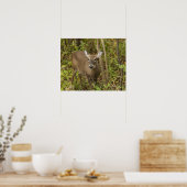 Poster White Tailed (Cuisine)