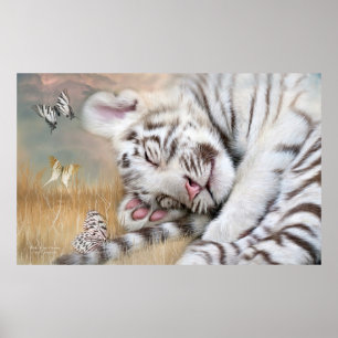 Poster White Tiger Dreams Fine Art Poster/Imprimer