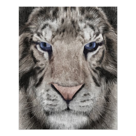 Poster White Tiger Head  (Devant)