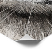 Poster White Tiger Head Wildlife Aesthetic (Coin)