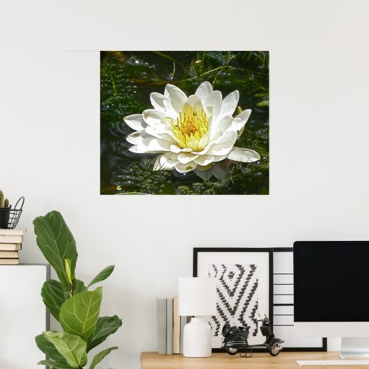 Poster White Water Lily (Bureau à domicile)