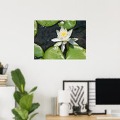 Poster White Water Lily (Bureau à domicile)