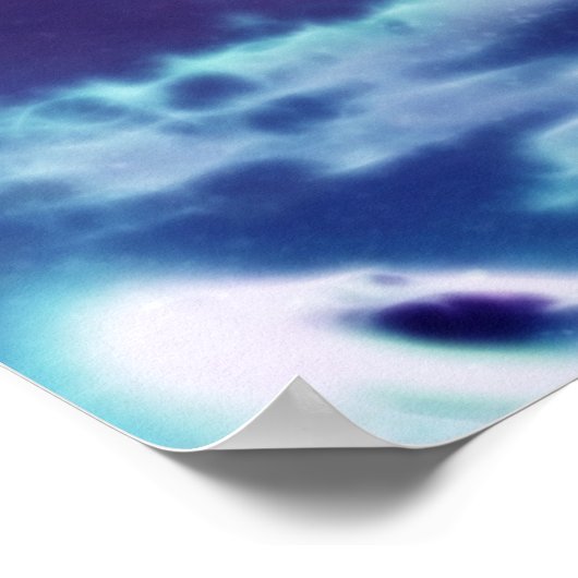 Poster White wolf (Coin)