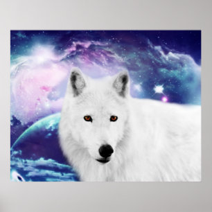 Poster White wolf