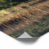 Poster Whiteface Mountain sur Little Cherrypatch Pond (Coin)