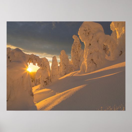 Poster Whitefish Range | Whitefish, Montana (Devant)