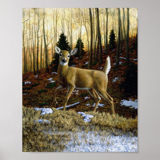 Poster Whitetail Deer Doe dans la forêt d'automne (Devant)