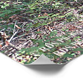 Poster Whitetail Deer in the Poconos. imprimer 0200 (Coin)