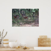 Poster Whitetail Deer in the Poconos. imprimer 0200 (Cuisine)