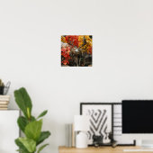 Poster Whitetail En Automne (Bureau à domicile)