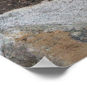 Poster Who are you ? Cute Lori (Coin)