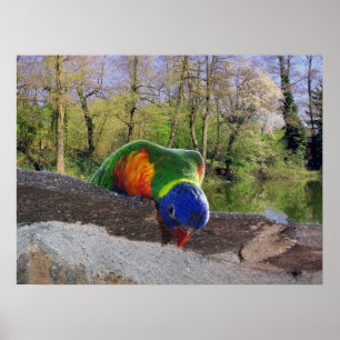 Poster Who are you ? Cute Lori