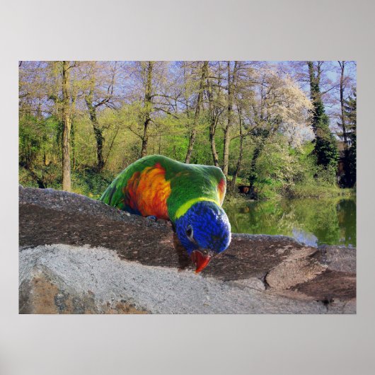 Poster Who are you ? Cute Lori (Devant)