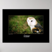 Poster Whooie (Devant)