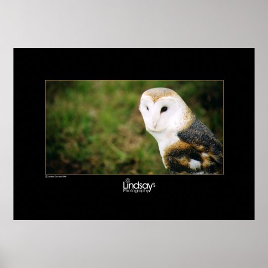 Poster Whooie (Devant)