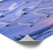Poster Whooper Swans in Winter Sky – Japanese Wild Bird (Coin)